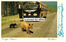 CANADIAN ROCKIES POSTCARD BEARS CROSSING ROAD MCI COURIER