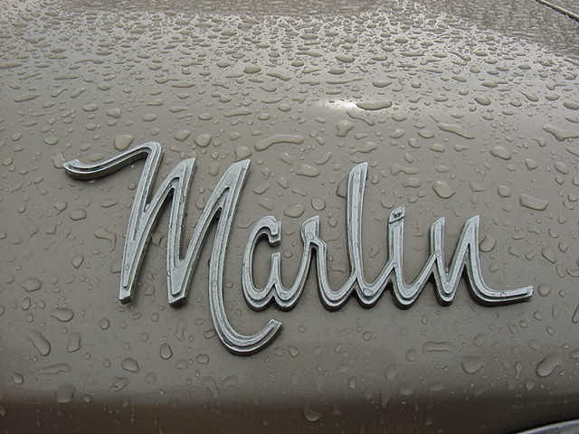 1966 marlin Fastback_wet_hood_nameplate