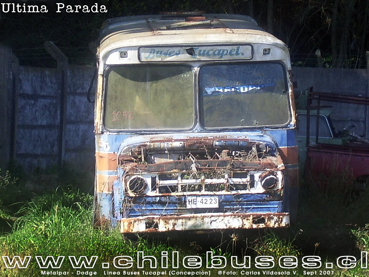 Metalpar Dodge Linea Buses Tucapel Concepcin